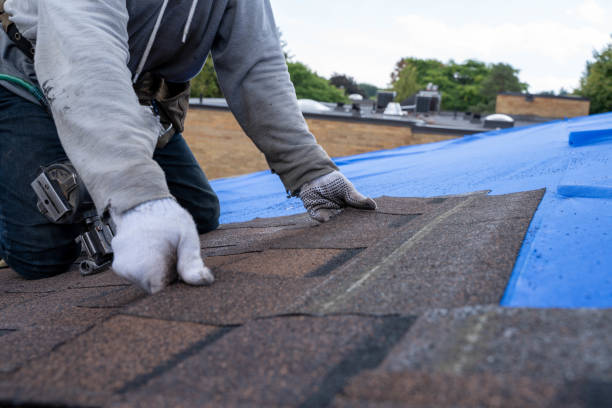 Best New Roof Installation  in First Mesa, AZ