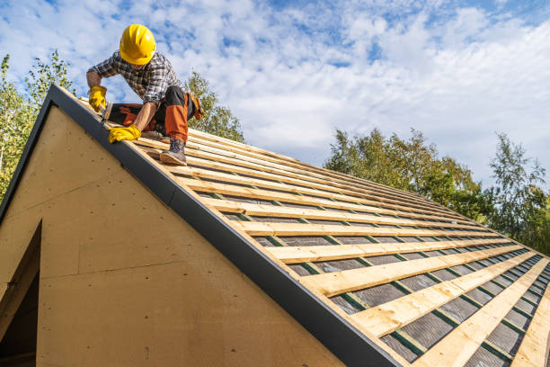 Best Roof Gutter Cleaning  in First Mesa, AZ
